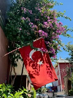 a flag hanging from the side of a building with flowers growing on it's sides