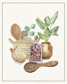 a watercolor painting of various items from the sea including shells, plants and brushes