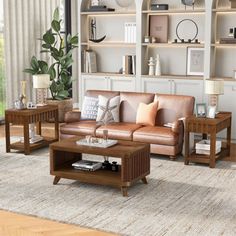 a living room filled with furniture and bookshelves