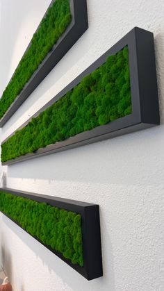 three black and white wall mounted planters with green moss growing on the side of them