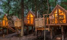 several wooden cabins in the woods with lights on and trees surrounding them at night time