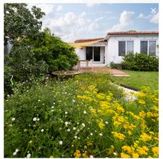 a white house with yellow flowers in front of it and a garden full of wildflowers