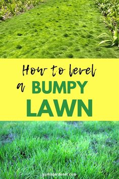 how to level a bumpy lawn