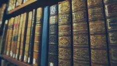 many books are lined up on a shelf in a library, one has gold trim and the other is black