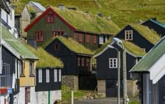 the houses have grass roofs on them