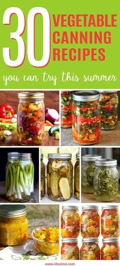 the cover of 30 vegetable canning recipes you can try this summer, including pickles and peppers