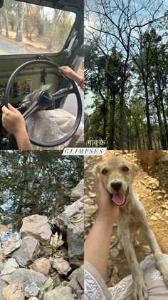 a dog is sitting in the driver's seat of a car while another dog looks on