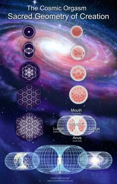 The Sacred Geometry of Human Cell Development - Vesica Piscis, Egg of Life, Flower of Life, Metatrons Cube, 64 Tetrahedron Crystal, Vector Equilibrium... Crystal Light Healing®... Vector Equilibrium, Egg Of Life, Scared Geometry, Human Cell, Sacred Geometry Patterns, Life Flower