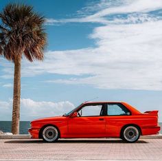 an orange car parked next to a palm tree on the side of the road near the ocean