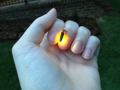 a hand holding a small light up insect in it's palm, with grass behind it