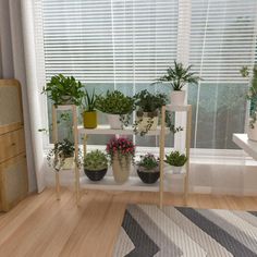 there are many potted plants on the shelf in this living room window sill