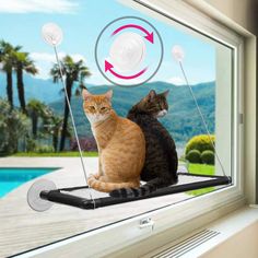 SKWIRRLE Cat Window Perch Hammock Seat - Large Cat Hammocks Window Seat Heavy Duty Suction Cups Free Fleece Blanket, Extra La Kitty Stuff