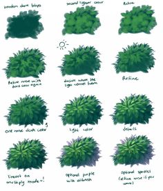 the different types of plants that can be used to create an animated character's avatar