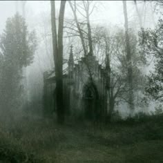 an old abandoned house in the woods on a foggy day