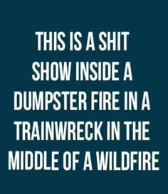 Workplace Humor, Dumpster Fire, Work Memes, Work Quotes, Funny Sayings