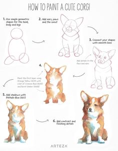 how to draw a cute corgi dog step by step instructions for beginners