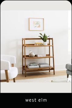 a living room scene with focus on the bookshelf and plant in the corner