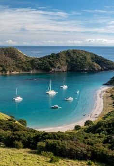 several boats are anchored in the water near an island