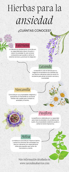 an info sheet with flowers on it and the words herbs para la ansicad