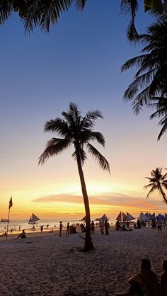 boracay sunset Philippines beautiful coconut tree Aklan Philippines Photography, Philippine Wallpaper, Boracay Philippines Aesthetic, Phillipines Aesthetic, Hundred Islands Philippines, Beach In Philippines