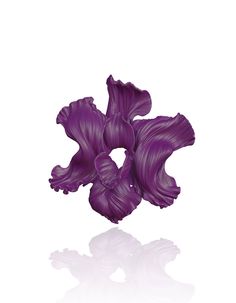 a purple flower is shown against a white background