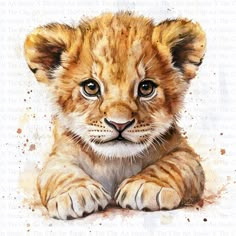 a watercolor painting of a baby lion cub laying on the ground with its paws crossed