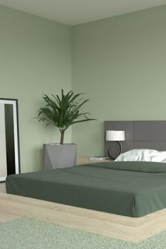 Sage Green Walls with Dark Green Bedding Paint Idea For Bedroom Walls, Sage Green Bedroom Colour Palettes Accent Wall, Green Color Wall Design, Room Color Ideas Bedroom Paint Aesthetic, Kamar Sage Green, Green Room Design Ideas, Aesthetic House Paint Interior, Lights For Living Room Wall, Asthetic Wall Colors Ideas