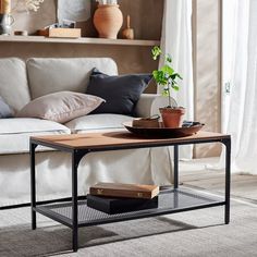 a living room with a couch, coffee table and potted plant on the shelf