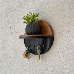 a potted plant on top of a shelf with keys and key chains hanging from it