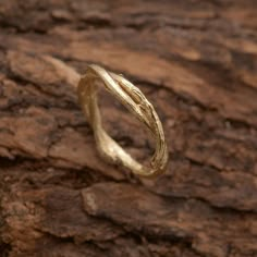 a gold ring sitting on top of a tree trunk