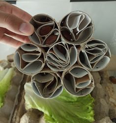 a hand is holding some kind of rolled up food item