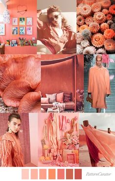 an orange and pink color scheme with different pictures