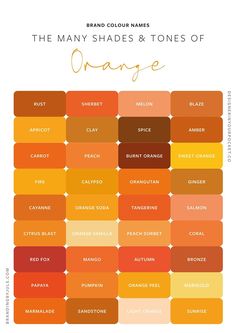 the many shades and tones of orange