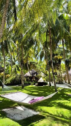 a hammock in the middle of some palm trees and lawn with grass on both sides