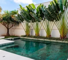 an empty swimming pool surrounded by palm trees and other greenery on the side of a house