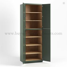 an empty green metal cabinet with shelves