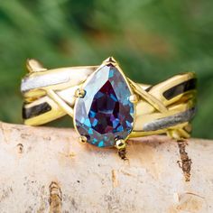 two gold rings with blue topaze and black sides on a tree branch in front of green leaves