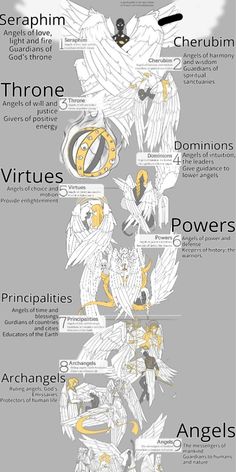 an info sheet with many different types of things on it, including the words and symbols