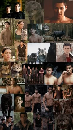 a collage of photos with different people and animals in them, including wolfs