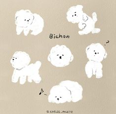 an illustrated drawing of four poodles in different positions