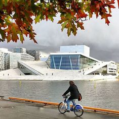 a person riding a bike down the street next to a body of water with buildings in the background