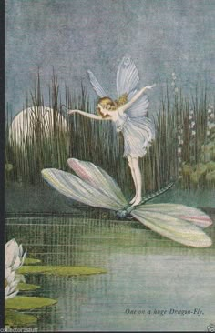 a fairy is flying over some water lilies