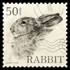 a postage stamp with a rabbit on it's face and the word rabbit written in black