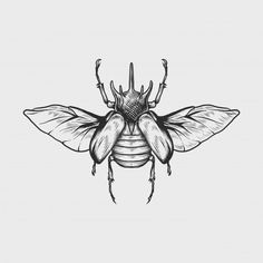 a black and white drawing of a bug