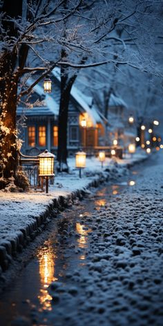 a snowy street with some lights on and trees in the foreground, and houses lit up at night