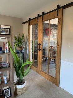 a living room filled with furniture and a potted plant next to a sliding glass door