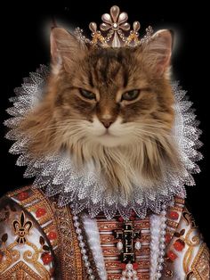 a close up of a cat wearing a tiara