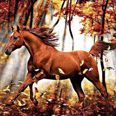 a brown horse running through a forest filled with leaves