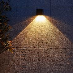 a lamp shines on the side of a wall next to a potted plant