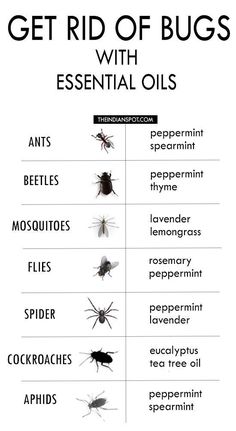 Get Rid Of Bugs With Essential Oils Poster High quality resin-coated photo base paper. Satin photo finish, maximum color gamut, dmax, and image resolution Bug Spray Recipe, Homemade Cleaning Solutions, Household Cleaning Tips, Essential Oil Uses, Diy Life Hacks, Doterra Essential Oils